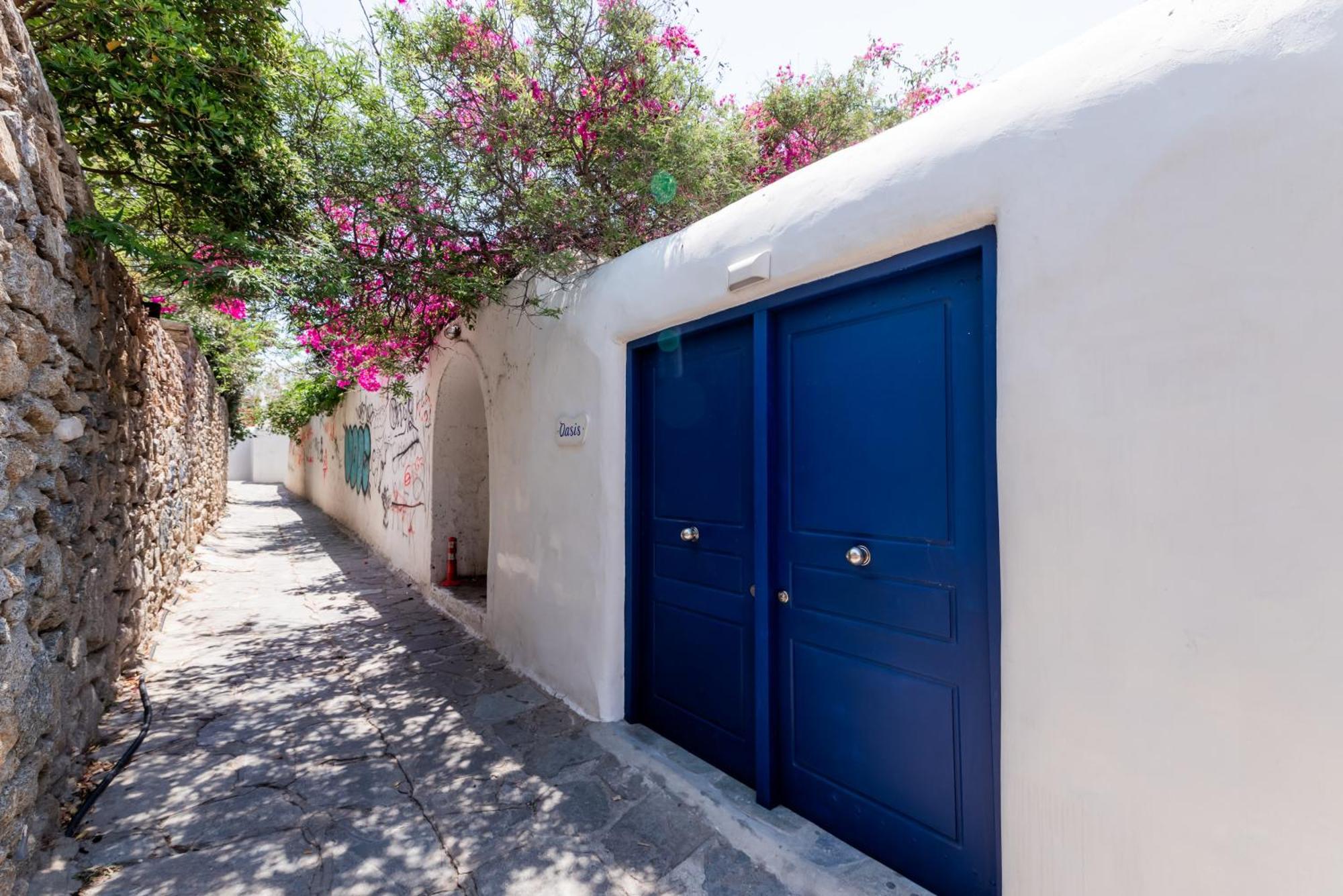 Olive Tree & Capari Mykonos Town Homes & Apartments With Pool! Exteriér fotografie